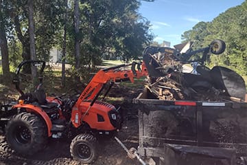 Tree trimming and pruning in North Port, FL.